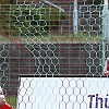 12.8.2014  FC Rot-Weiss Erfurt - Hamburger SV  1-3_80